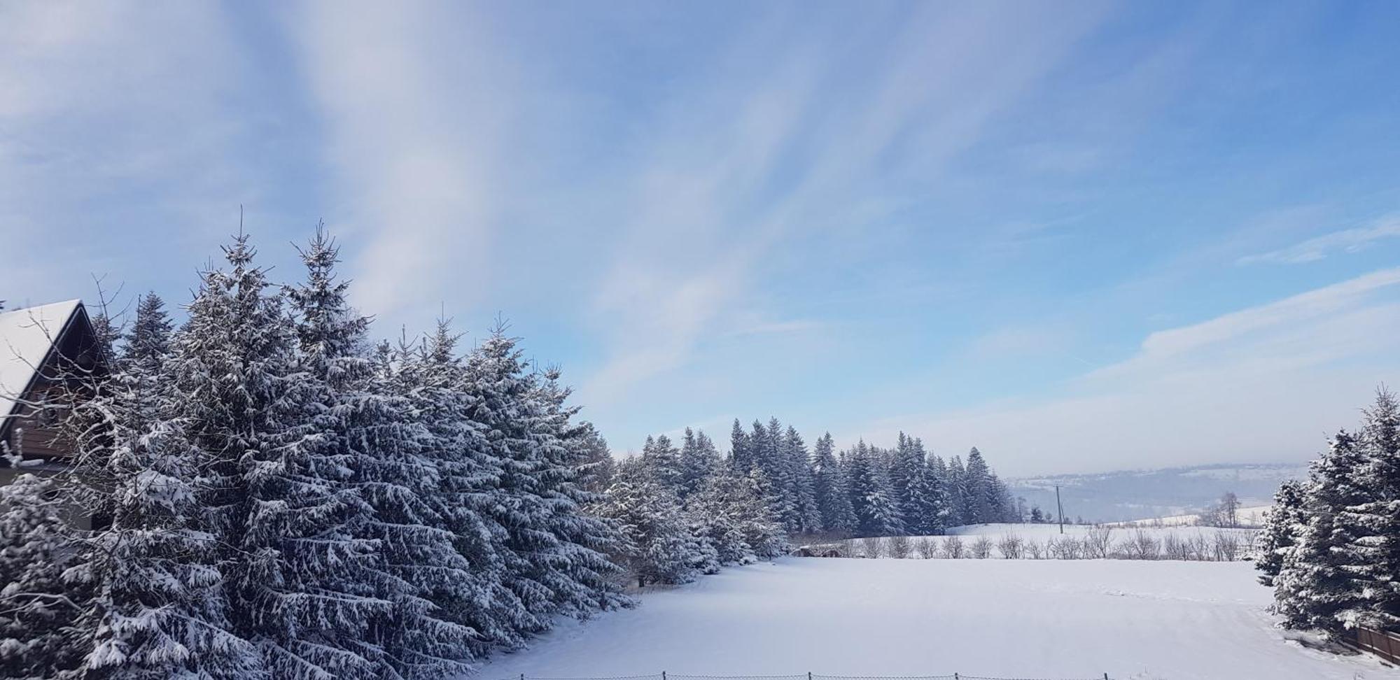 Apartamenty Pod Limba Zakopane Buitenkant foto