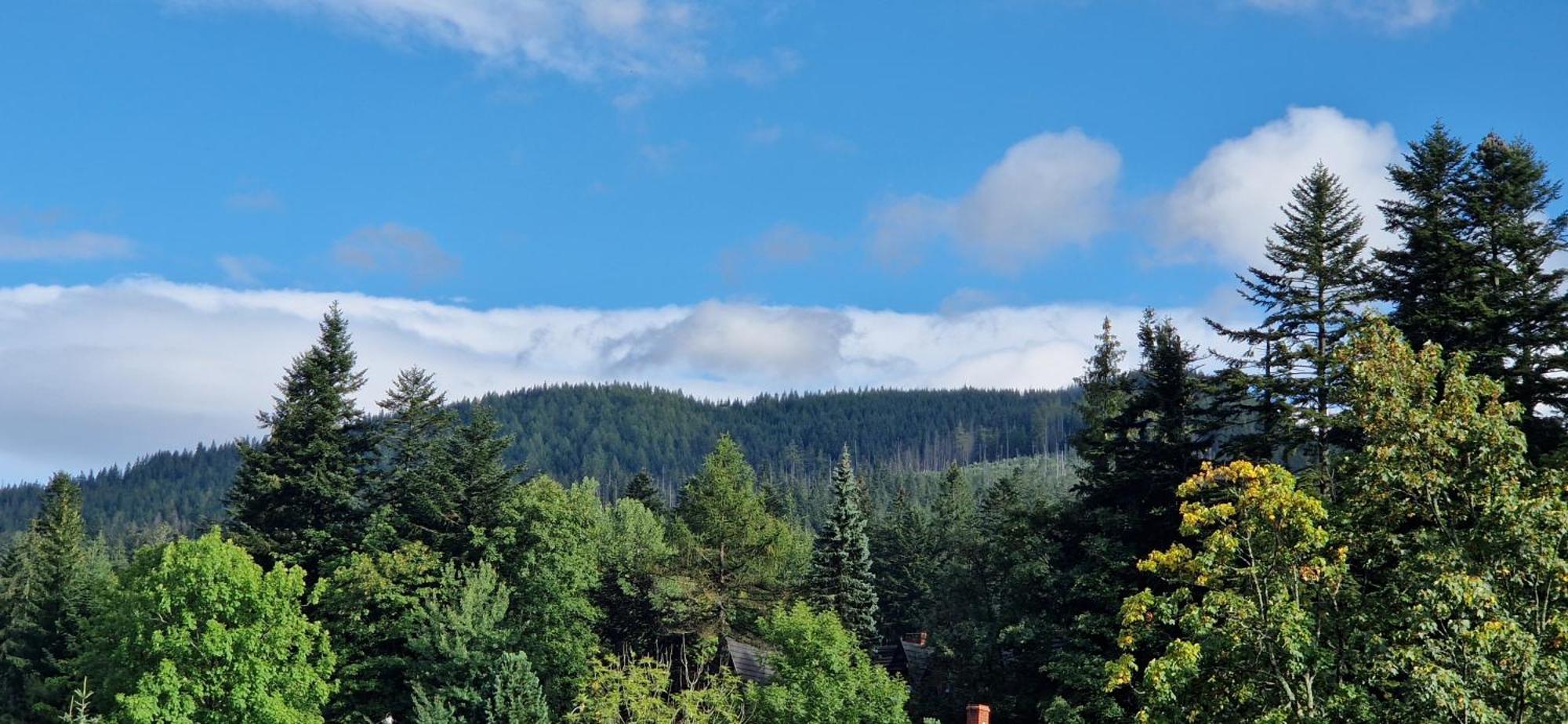 Apartamenty Pod Limba Zakopane Buitenkant foto