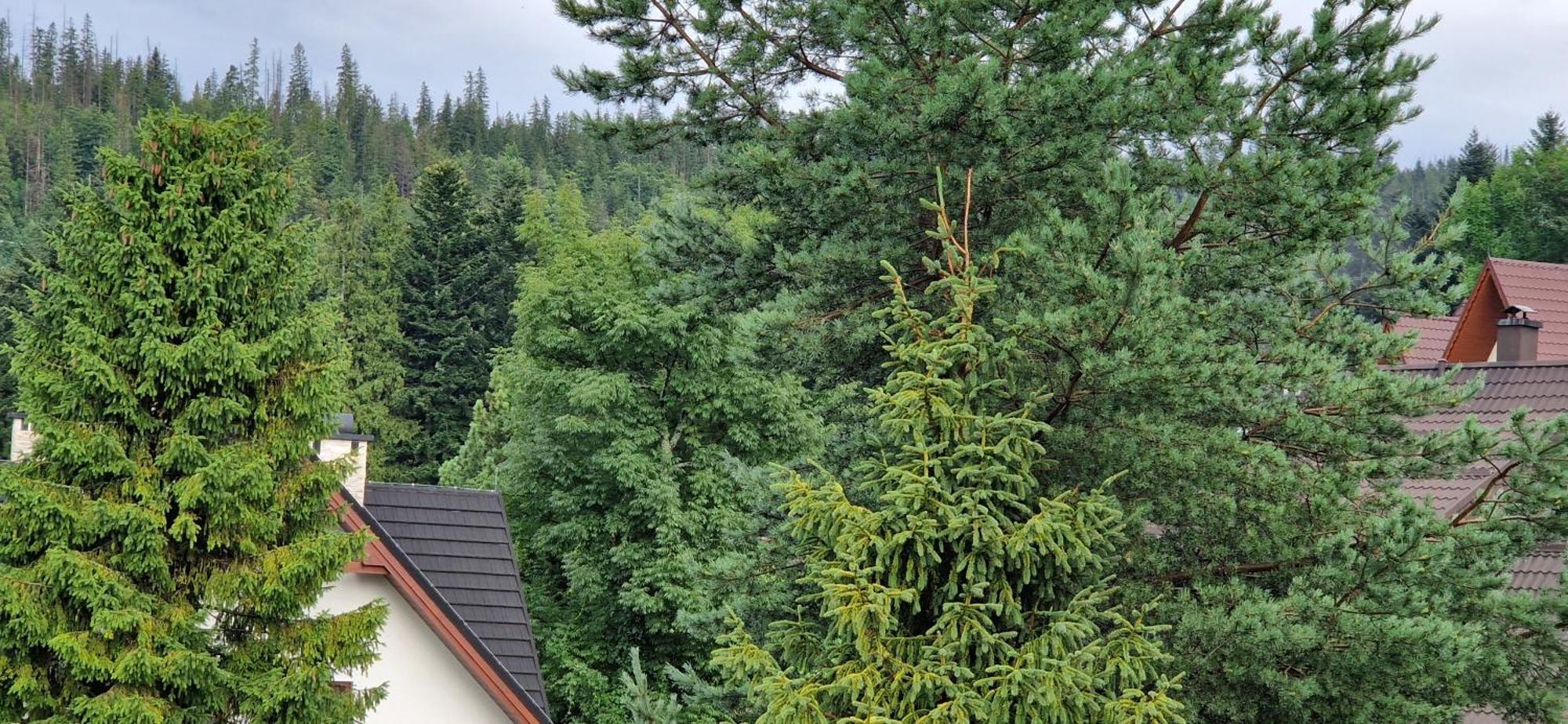 Apartamenty Pod Limba Zakopane Buitenkant foto